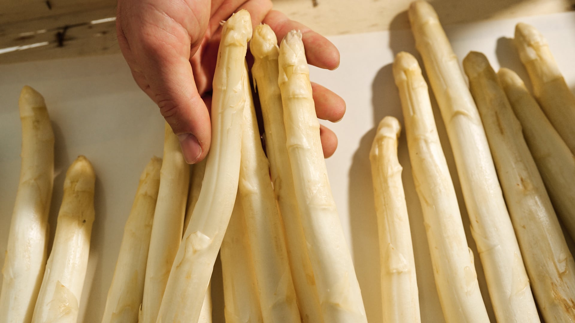 Man sieht Jana Knodt dabei, wie sie die Tomaten überprüft