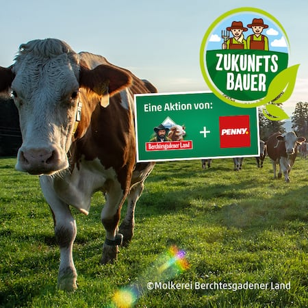 Kuh auf Weide, Zukunftsbauer-Störer und Logos von Berchtesgadener Land und PENNY
