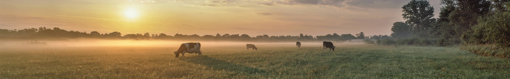 Nachhaltige Landwirtschaft
