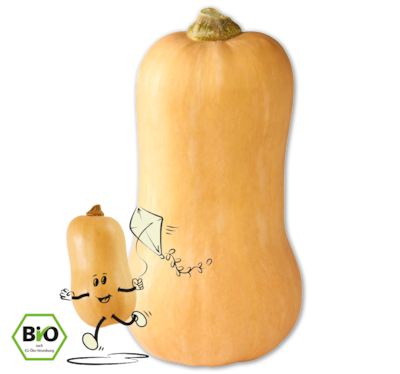 NATURGUT Deutscher Bio-Butternutkürbis 1.99
