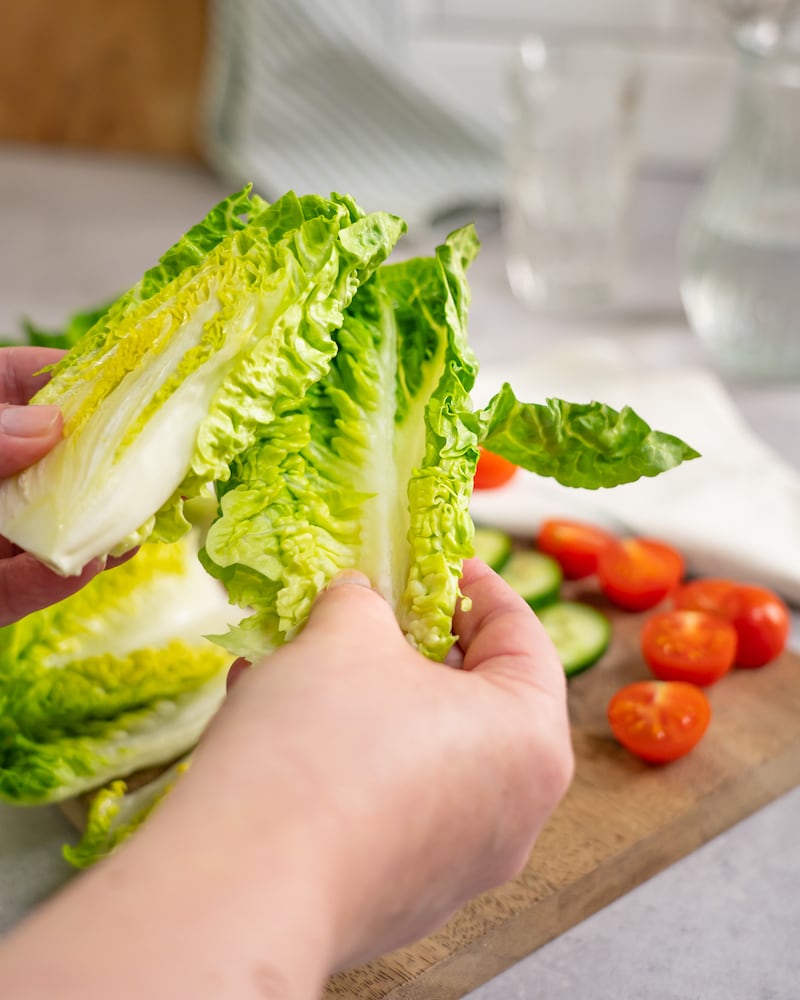 Dieses Bild zeigt wie Salatblätter gezupft werden.