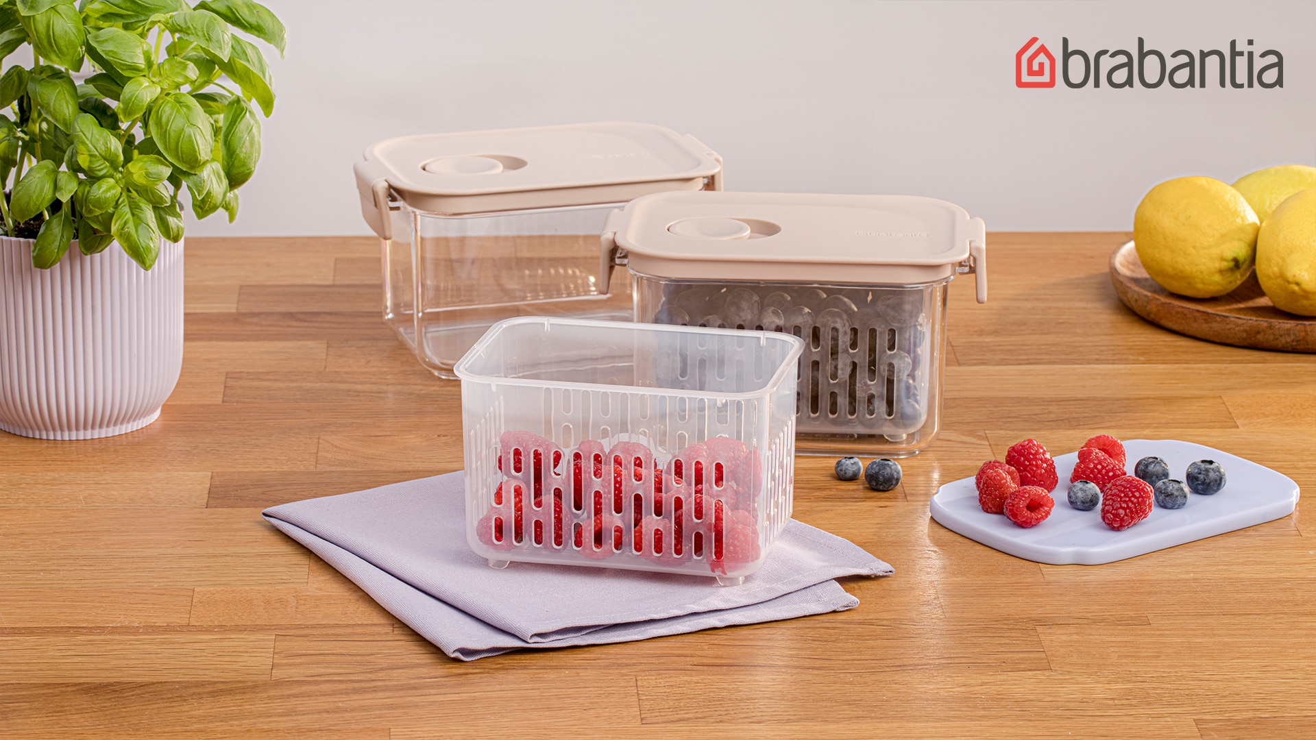 Teaser für die Vorratsboxen mit Beeren.