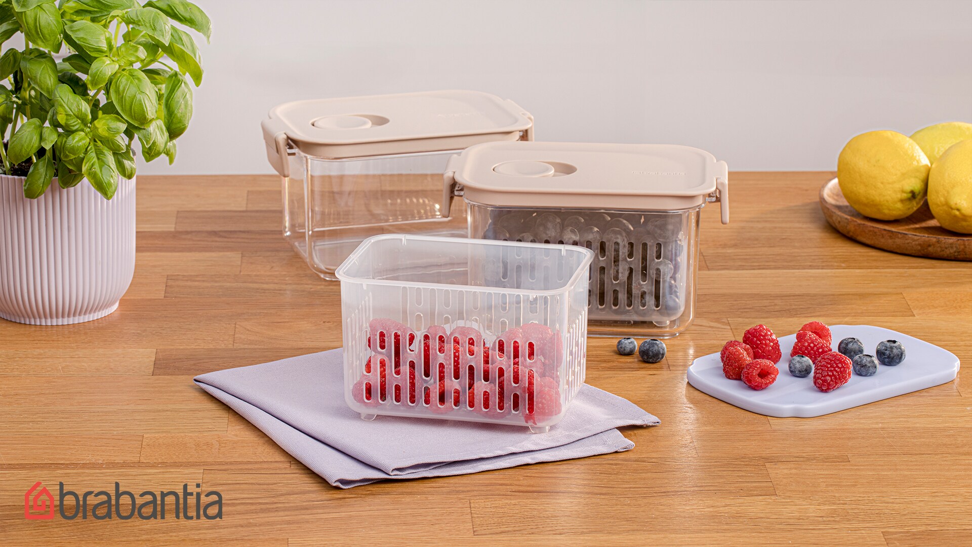 Teaser für die Vorratsboxen mit Beeren.