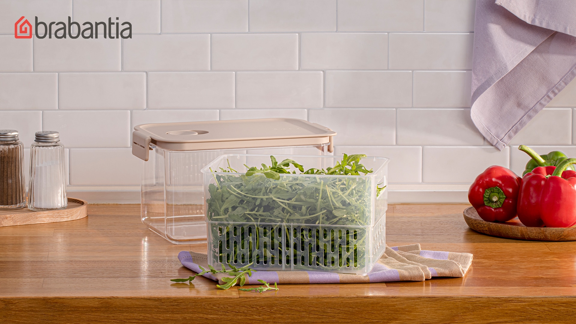 Teaser für die Vorratsboxen mit Salat