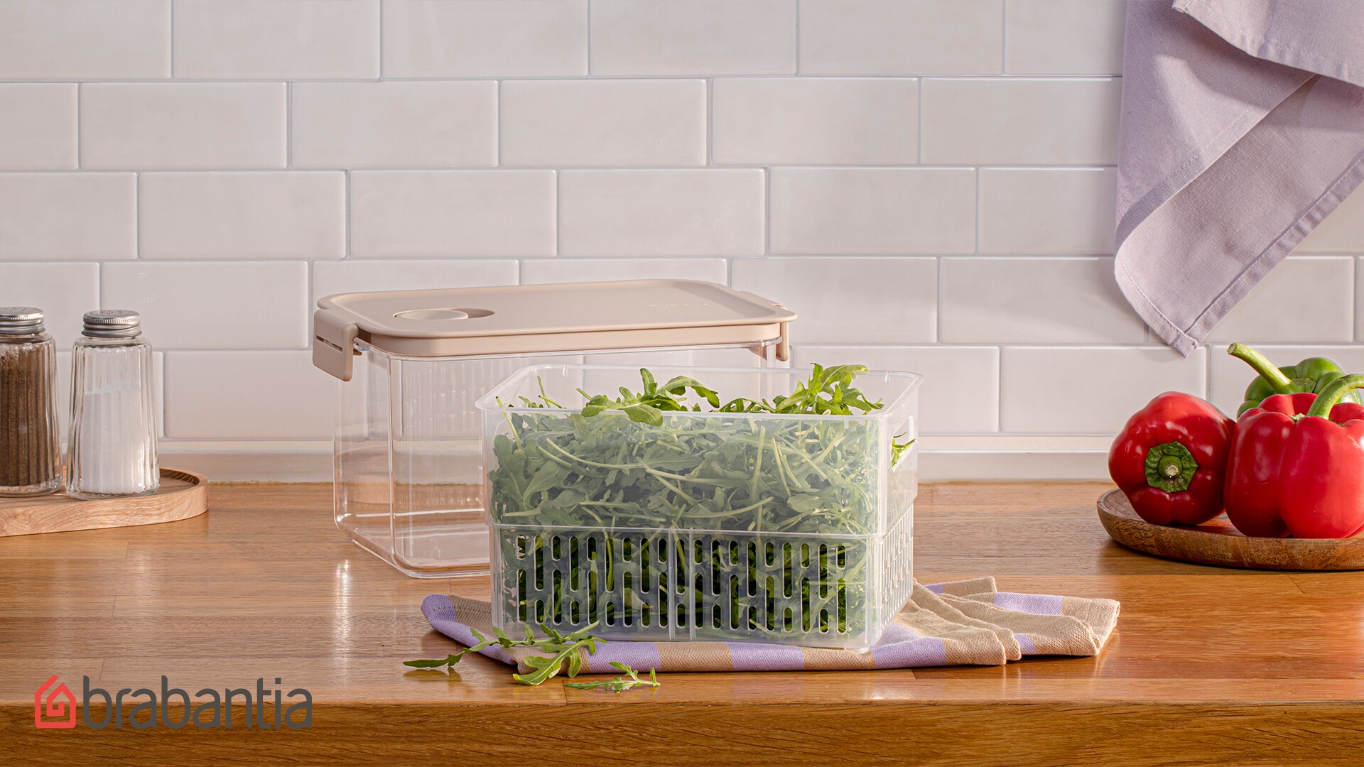 Teaser für die Vorratsboxen mit Salat