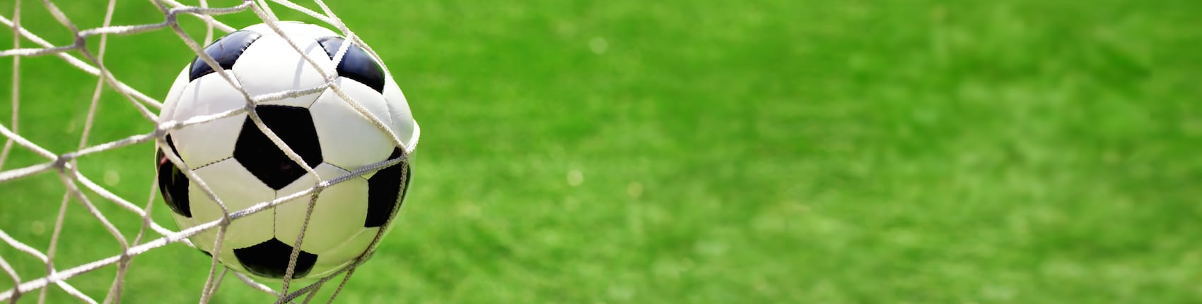 Header Desktop
