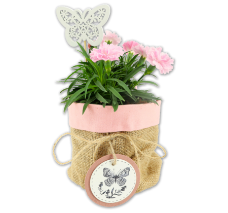 Bepflanzte Sisaltasche*