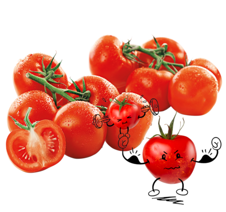 NATURGUT Bio Rispentomaten