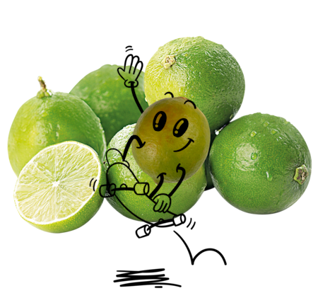 NATURGUT Bio Limette