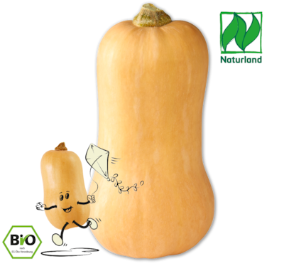 NATURGUT Deutscher Bio-Butternutkürbis 1.99