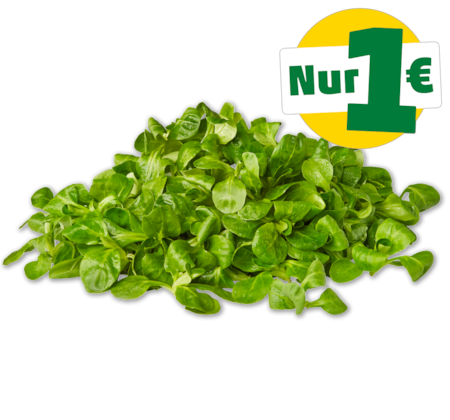 Feldsalat 1.00
