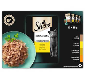 SHEBA Delikatesse oder Selection