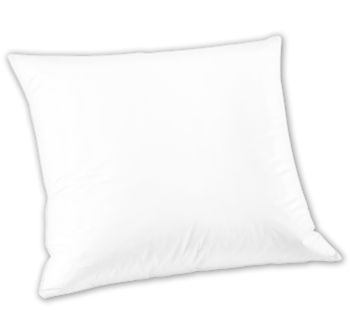 SLEEP AND DREAM Federkopfkissen*