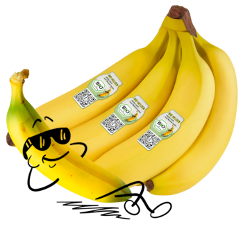 NATURGUT Bio Banane