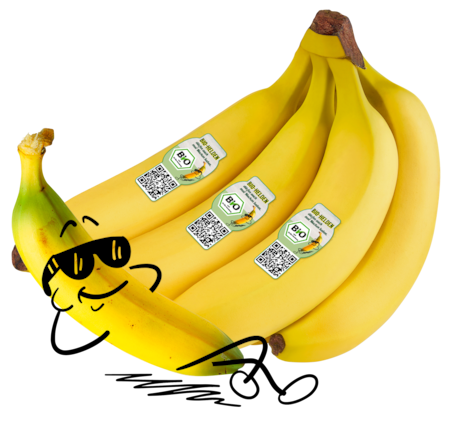 NATURGUT Bio Banane