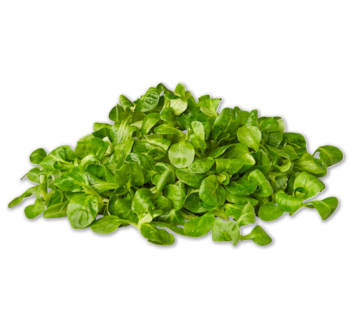 Feldsalat 